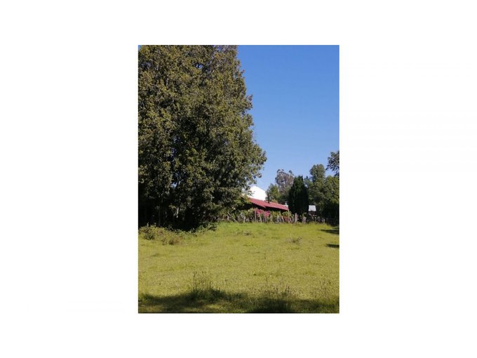 Precioso terreno de 5000 mts, con verdes lomas en Candelaria.