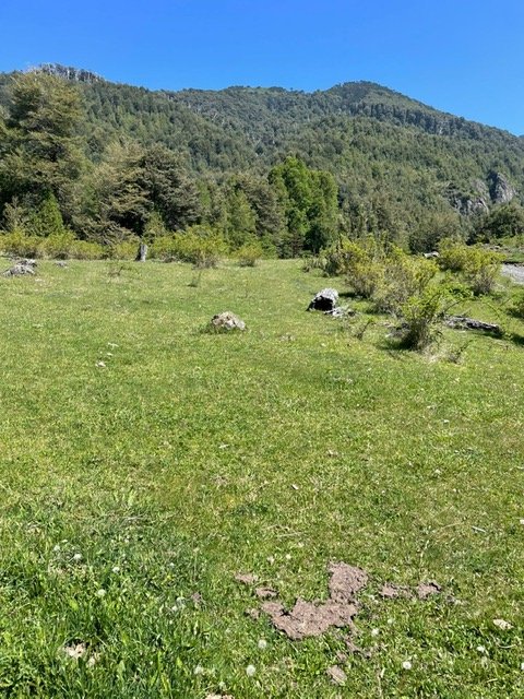 Terreno limpio