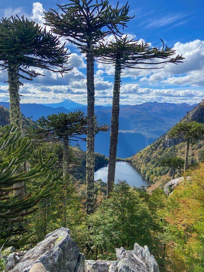 atractivos parque nacional huerquehue.
