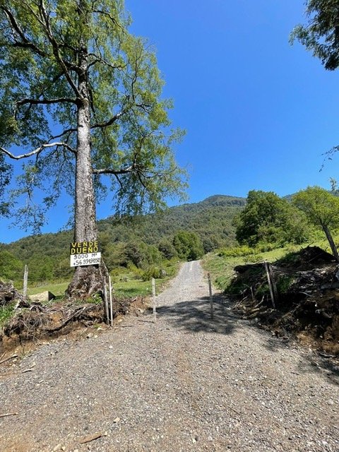 Camino servidumbre