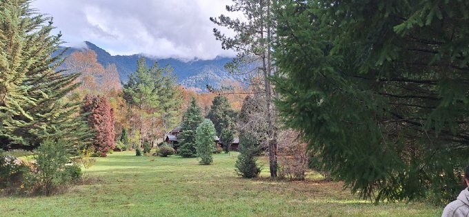 Parque entre la casa y cabaña