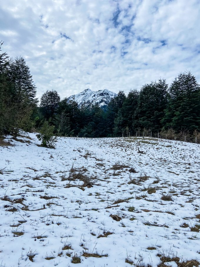 INVIERNO 2024