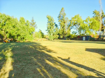 Imagen 5