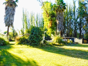 Imagen 7