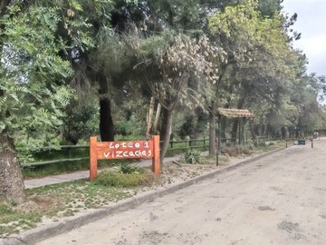 Imagen 22
