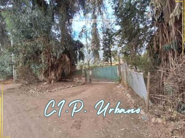 Imagen 22