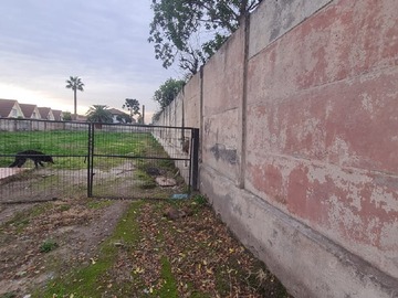 Imagen 11
