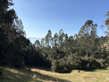 Venta / Parcela / Puerto Montt