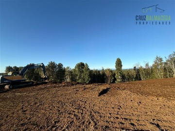 Imagen 5