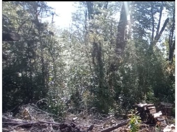 Venta / Parcela / Puerto Montt