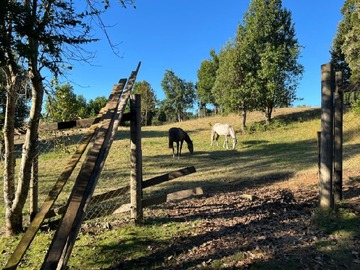 Venta / Parcela / Puerto Montt