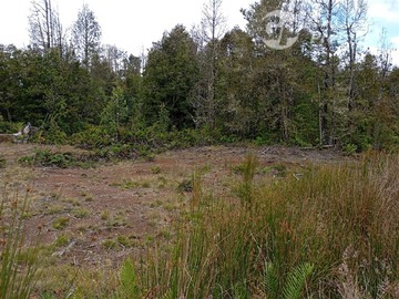 Venta / Parcela / Puerto Montt