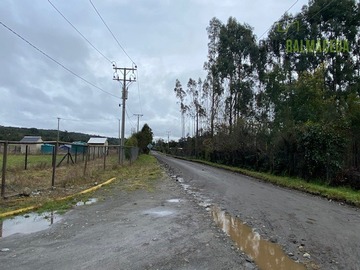 Imagen 11
