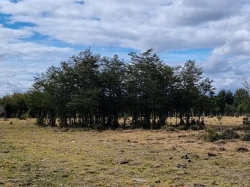 Imagen 10