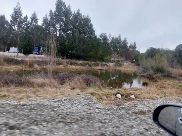 Imagen 8