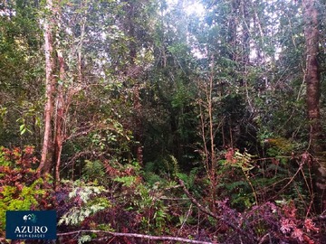 Imagen 21
