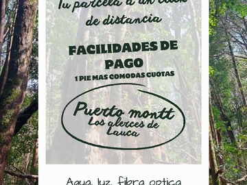 Venta / Parcela / Puerto Montt