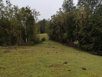 Imagen 5