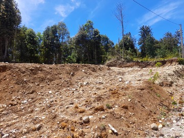 Imagen 6