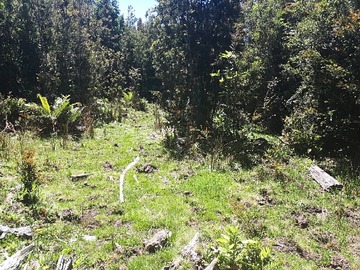 Imagen 6