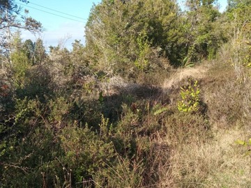 Imagen 5