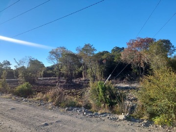 Imagen 6