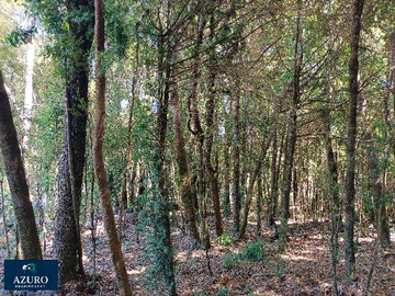 Imagen 18