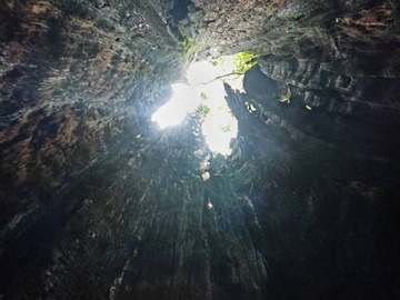 Interior de alerce milenario muerto
