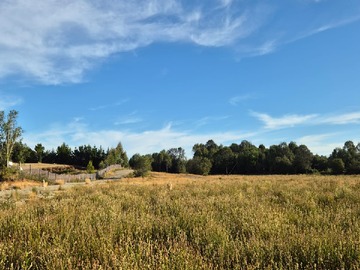 Venta / Parcela / Puerto Montt