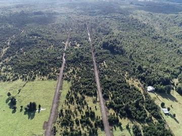Imagen 7