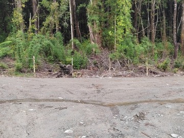 Venta / Parcela / Puerto Montt
