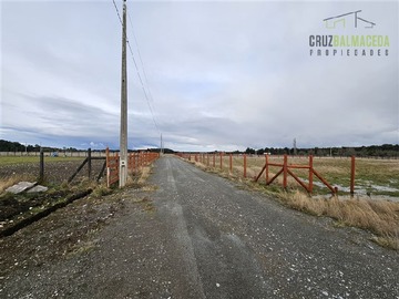 Imagen 6