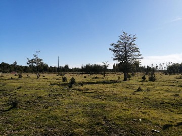 Venta / Parcela / Puerto Montt