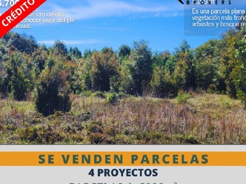 Imagen 19