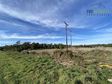 Imagen 9