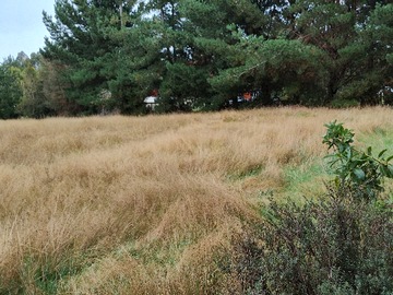 Venta / Parcela / Puerto Montt