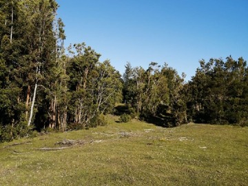 Imagen 6