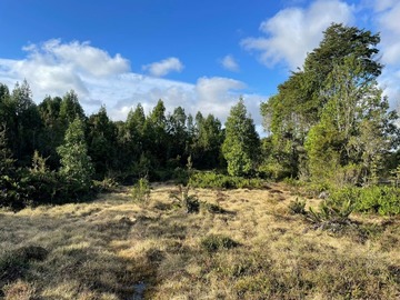 Venta / Parcela / Puerto Montt