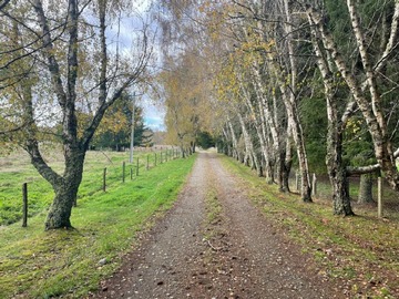 Venta / Parcela / Puerto Montt