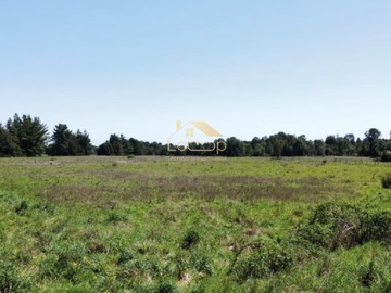 Venta / Parcela / Puerto Montt