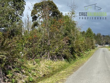 Imagen 6