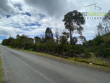 Imagen 11