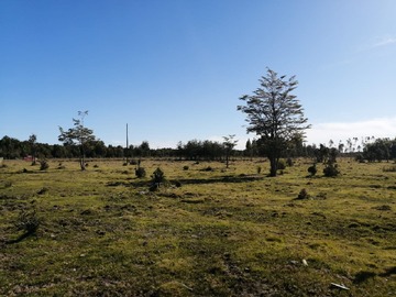 Venta / Parcela / Puerto Montt