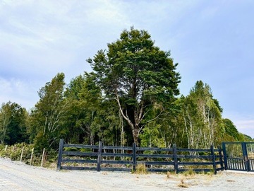 Venta / Parcela / Puerto Montt