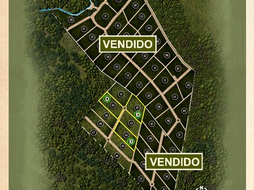 Imagen 8