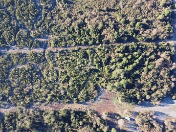 Imagen 9