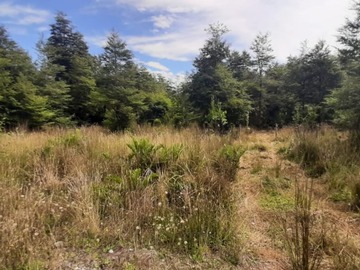 Venta / Parcela / Puerto Montt