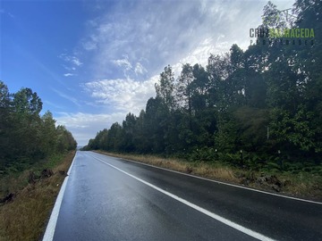 Venta / Parcela / Puerto Montt