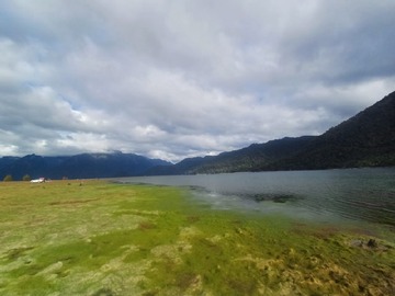 Imagen 6