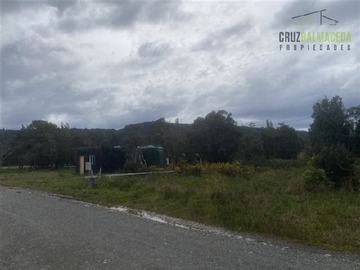 Imagen 5
